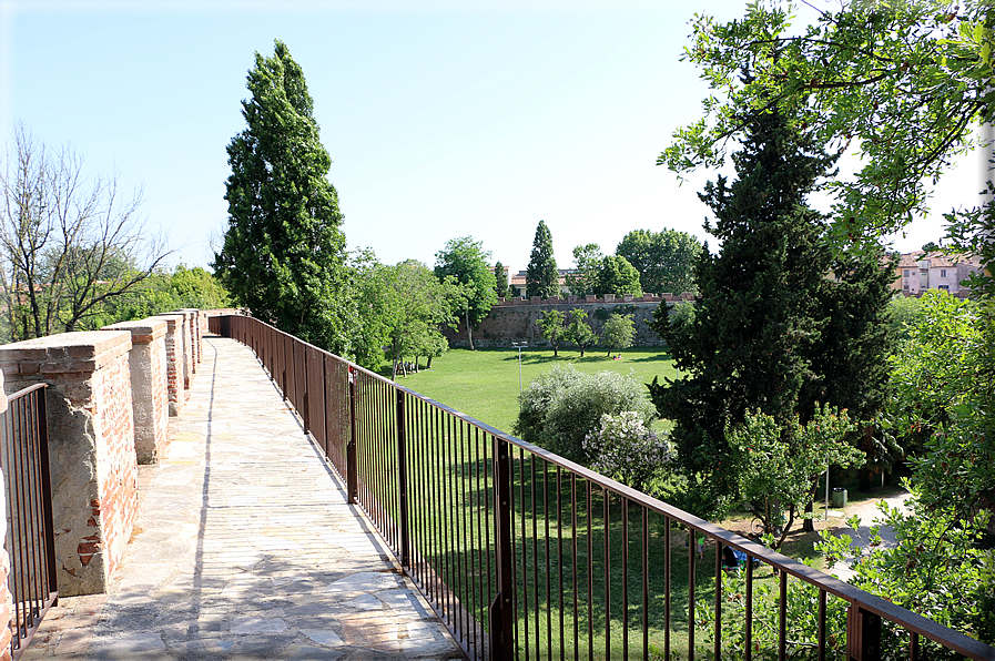 foto Camminamento delle mura di Pisa